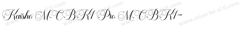 Kaisho MCBK1 Pro MCBK1字体转换